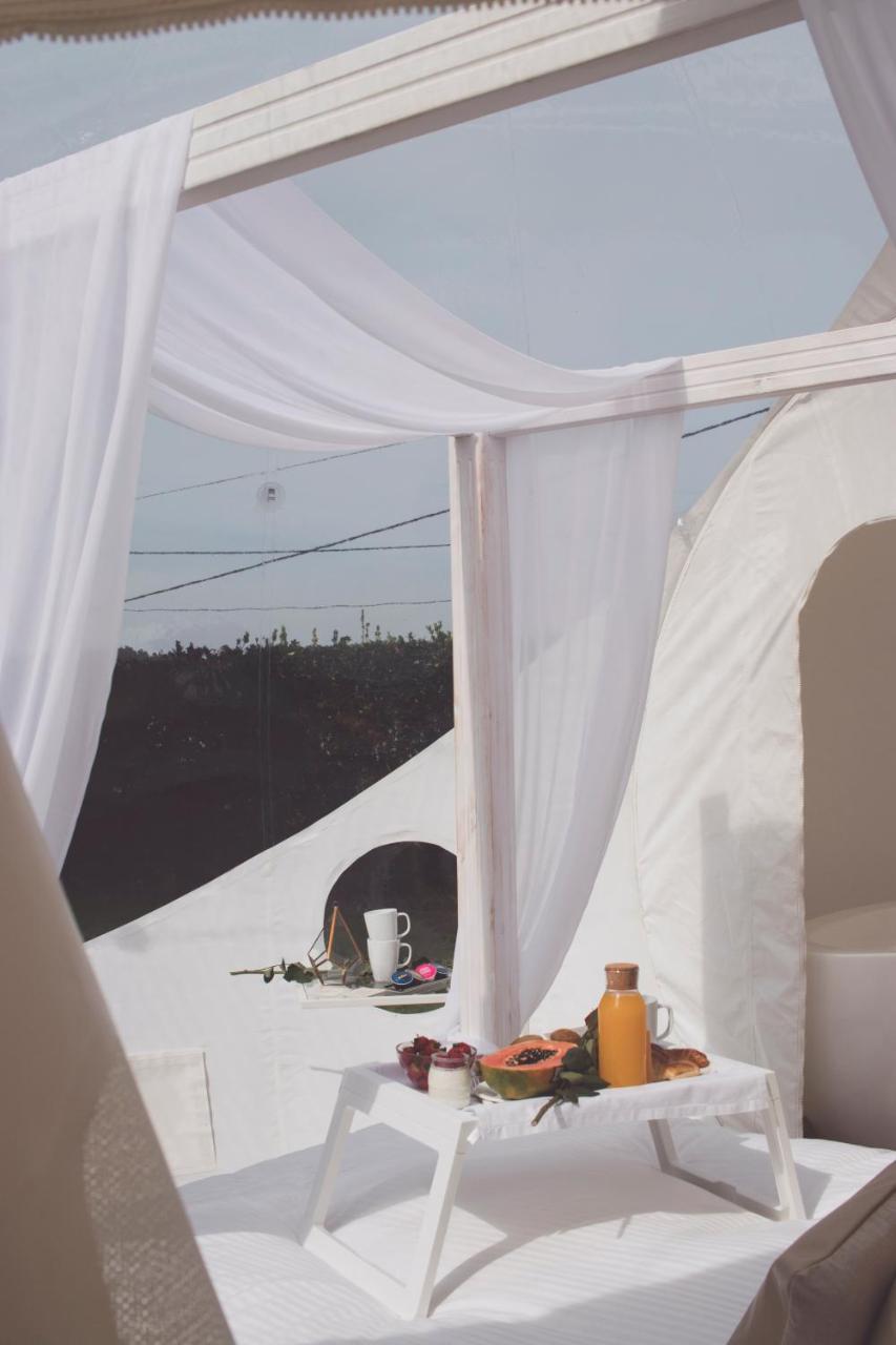 Albarari Hotel Dorneda Zewnętrze zdjęcie